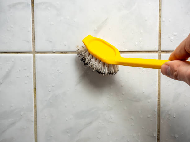 Best Best Mold Removal Companies  in Bella Vista, CA