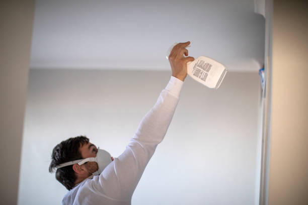 Attic Mold Removal in Bella Vista, CA
