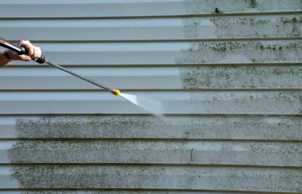 Mold Removal and Inspection in Bella Vista, CA