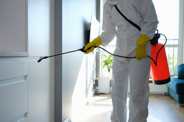 Best Mold Cleaning Services  in Bella Vista, CA