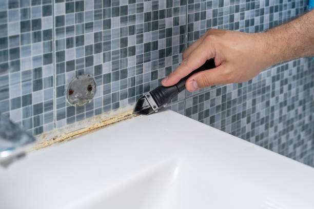 Best Same-Day Mold Removal  in Bella Vista, CA